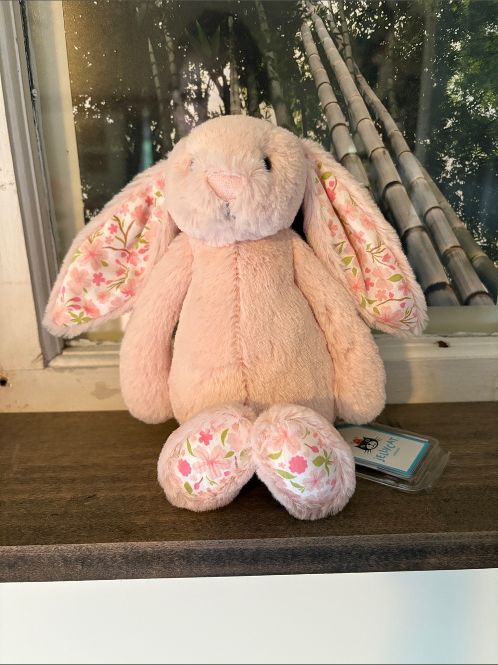 Jellycat Bunny